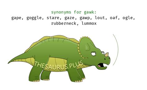 12 Synonyms & Antonyms for GAWK